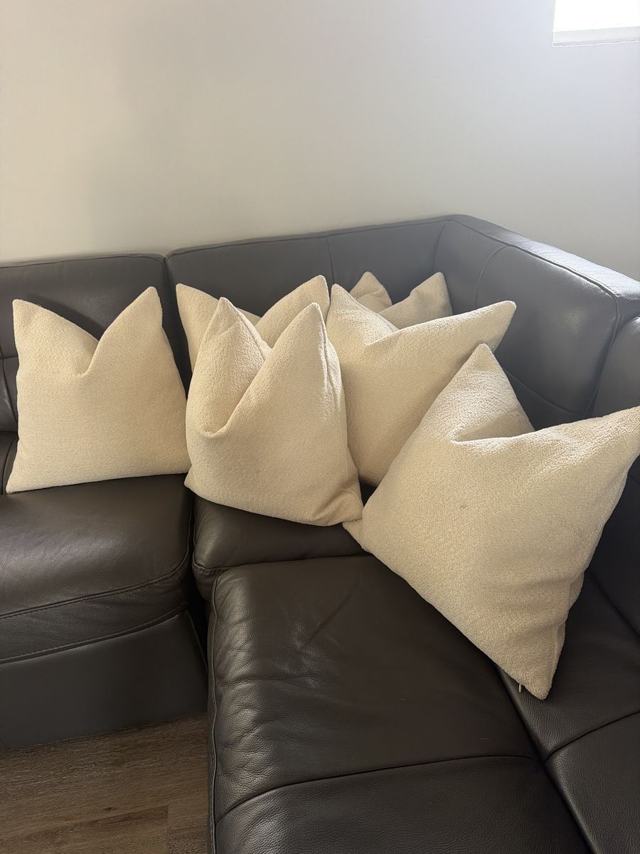 Throw pillows sofa or bed 