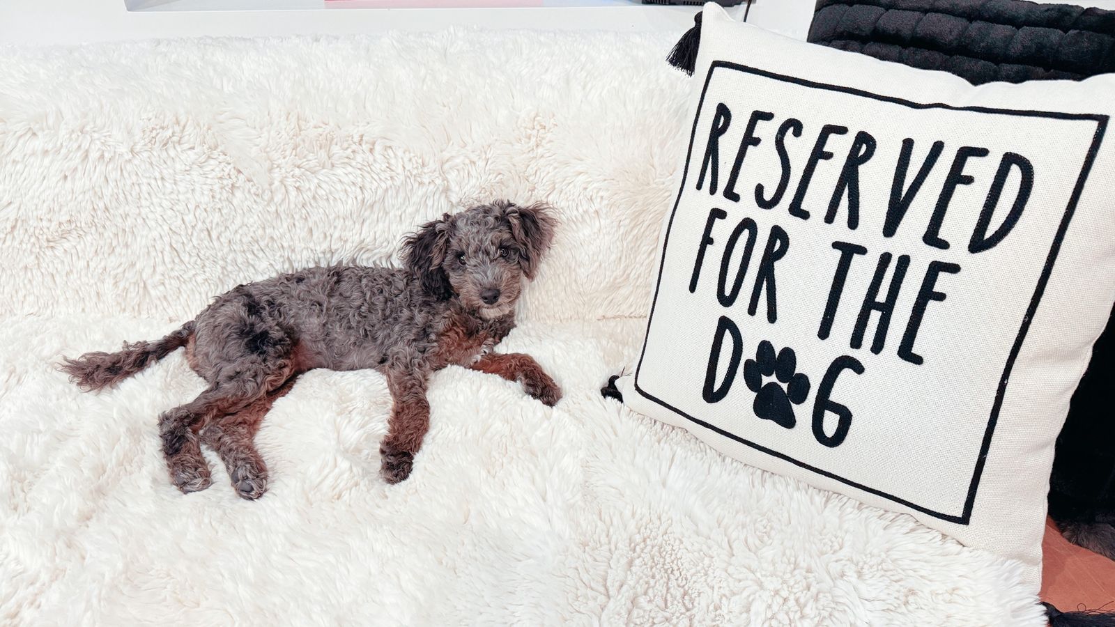 Main image 5