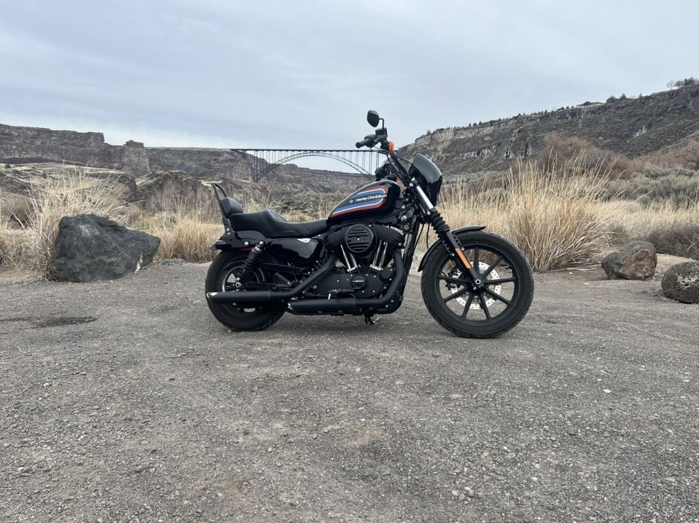 2021 Harley Davidson 1200 Sportster