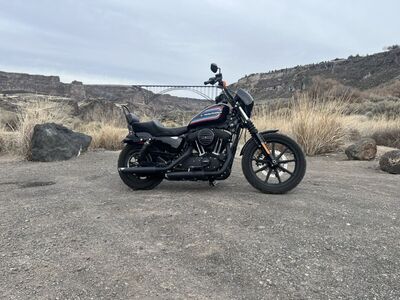 2021 Harley Davidson 1200 Sportster