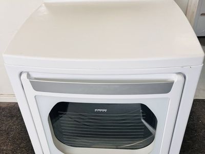 LG Electric Dryer