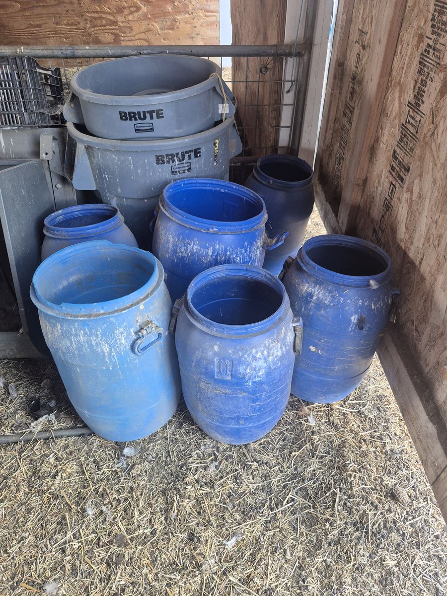 Blue barrels- no lids