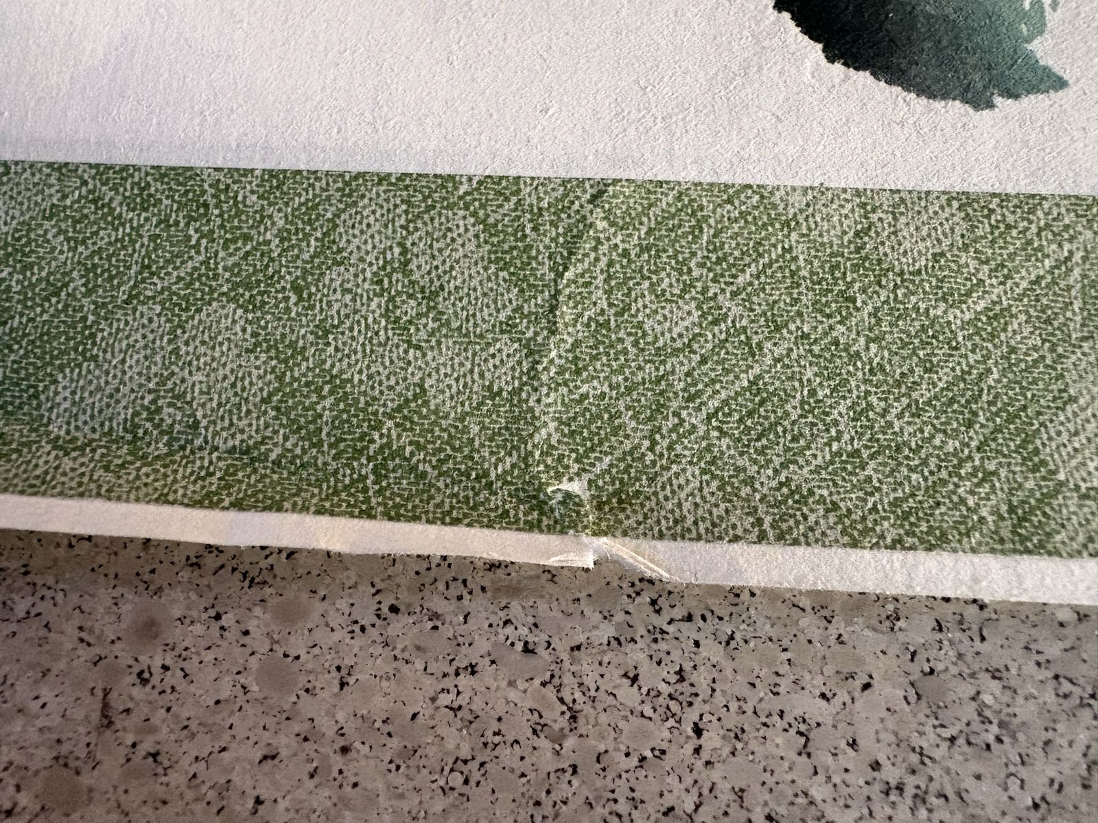 Main image 4