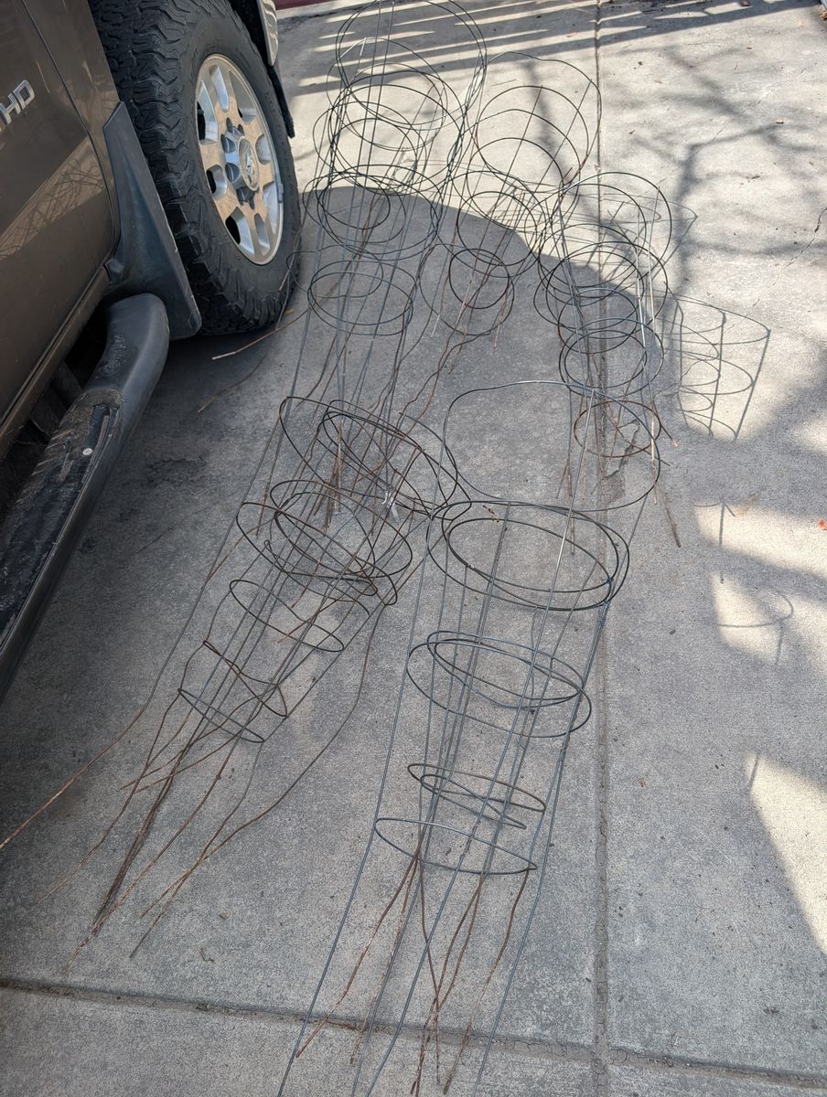 FREE   Tomato Cages     FREE