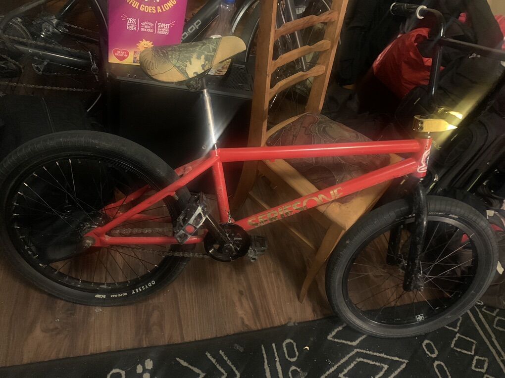 2024 FIT bike co. BMX 20