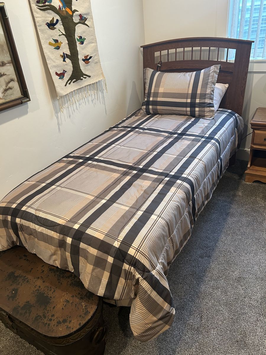 electric Twin Bed