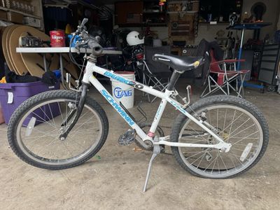 Schwinn Duro20 bike