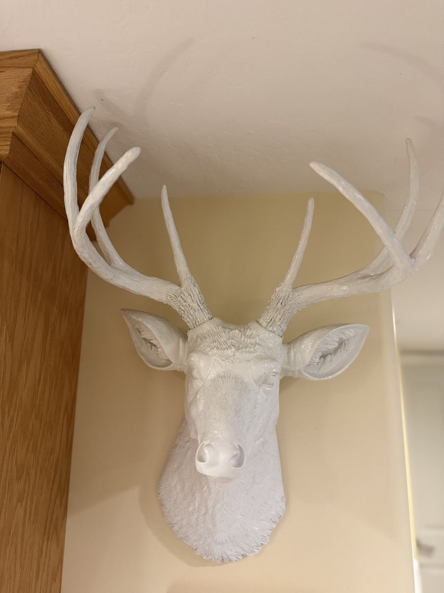 White Decorative Deer Mount