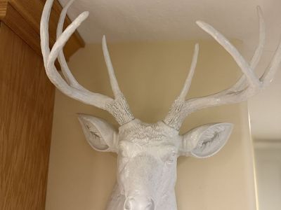 White Decorative Deer Mount