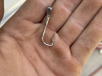 fish hooks