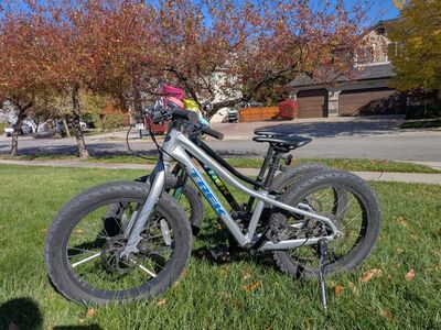 Trek Roscoe kids bike