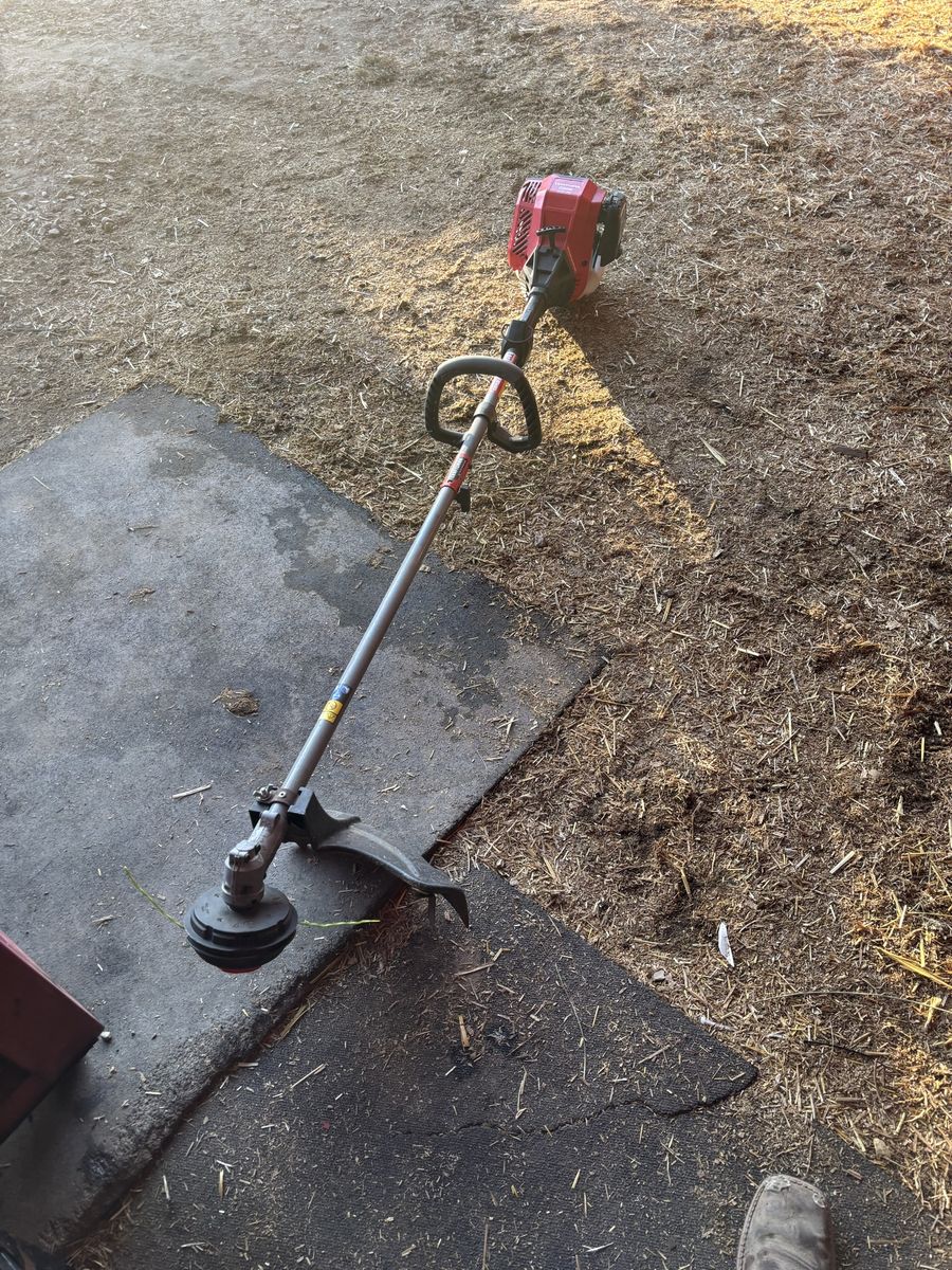 Craftsman WS4200 4-Cycle 30cc Gas String Trimmer Weed Wacker