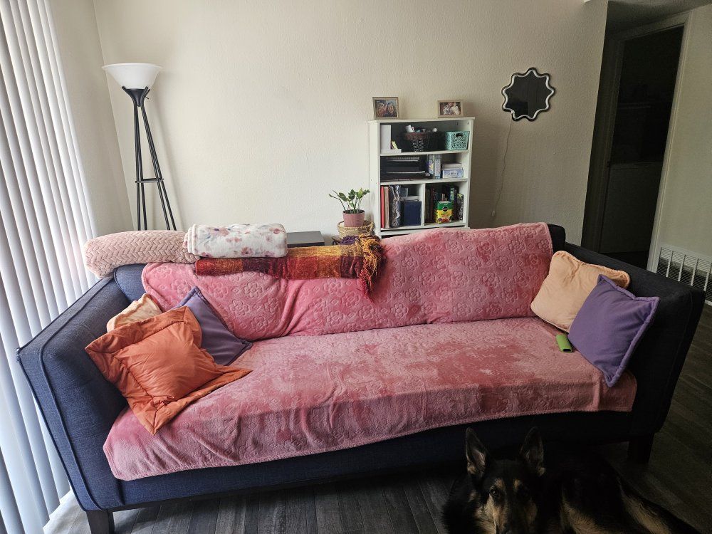 FREE Couch & Love Seat