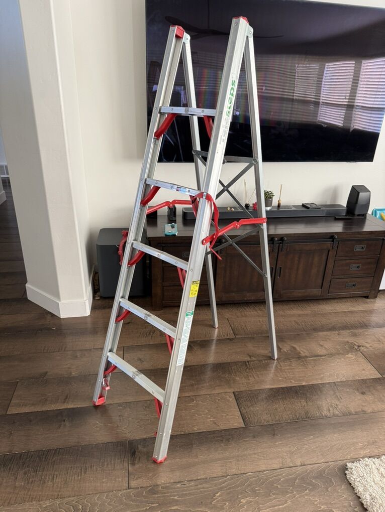Telesteps Ladder