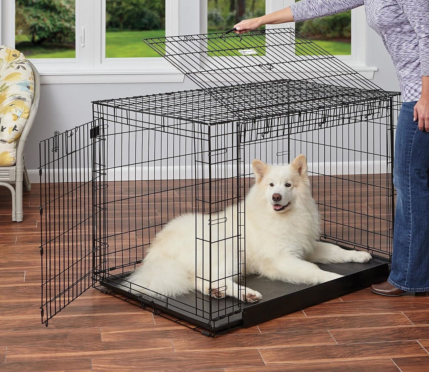 New in Box- MidWest XL Ovation 48in Folding Dog Crate