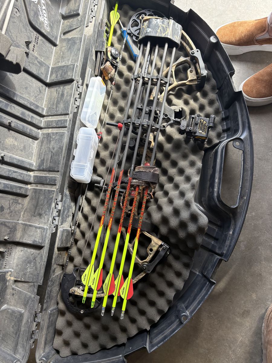 2 Bows For Sale