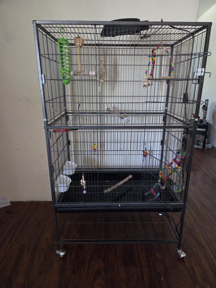bird cage
