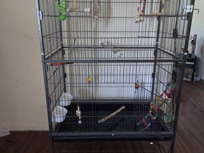 bird cage