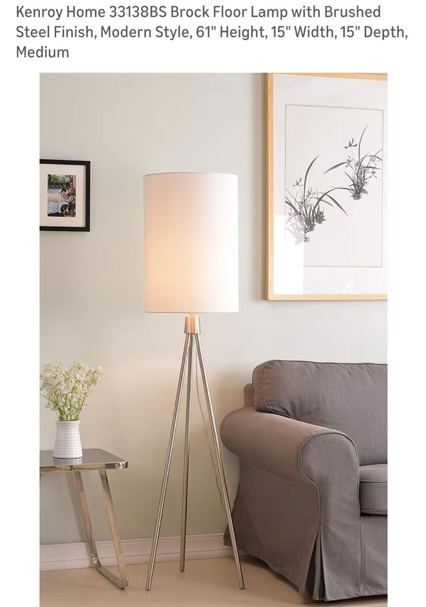 Brock Floor Lamp with Brushed Steel Finish