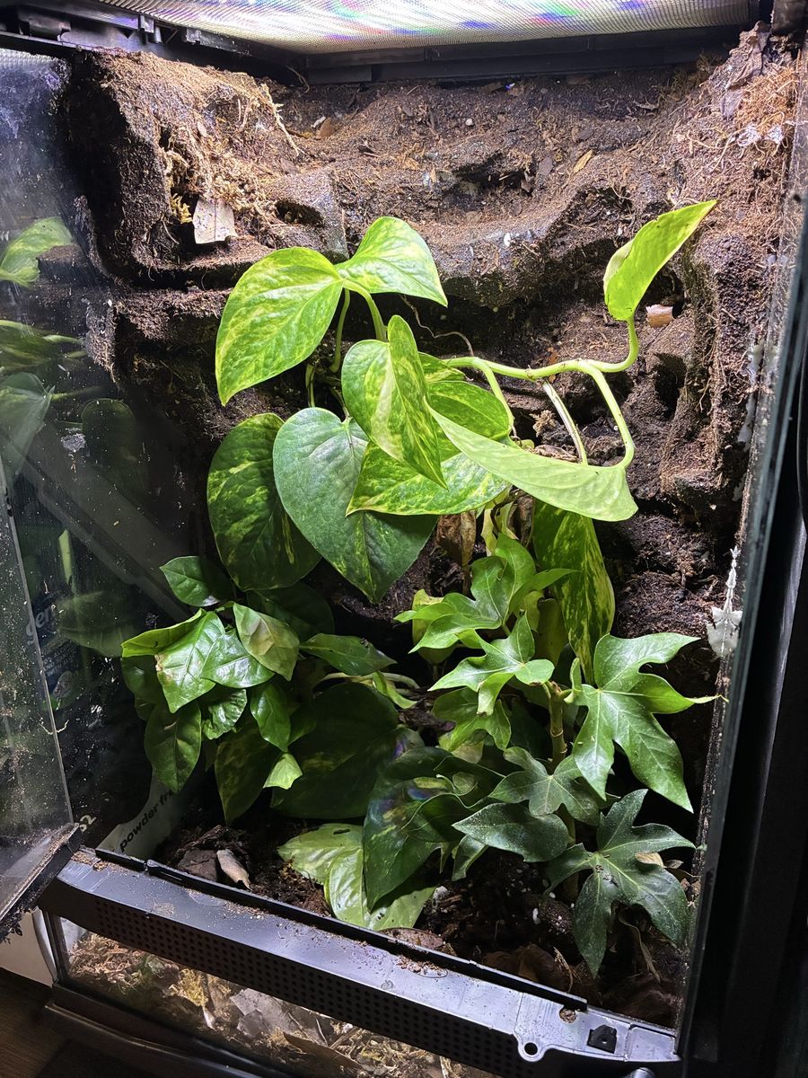 Main image 2