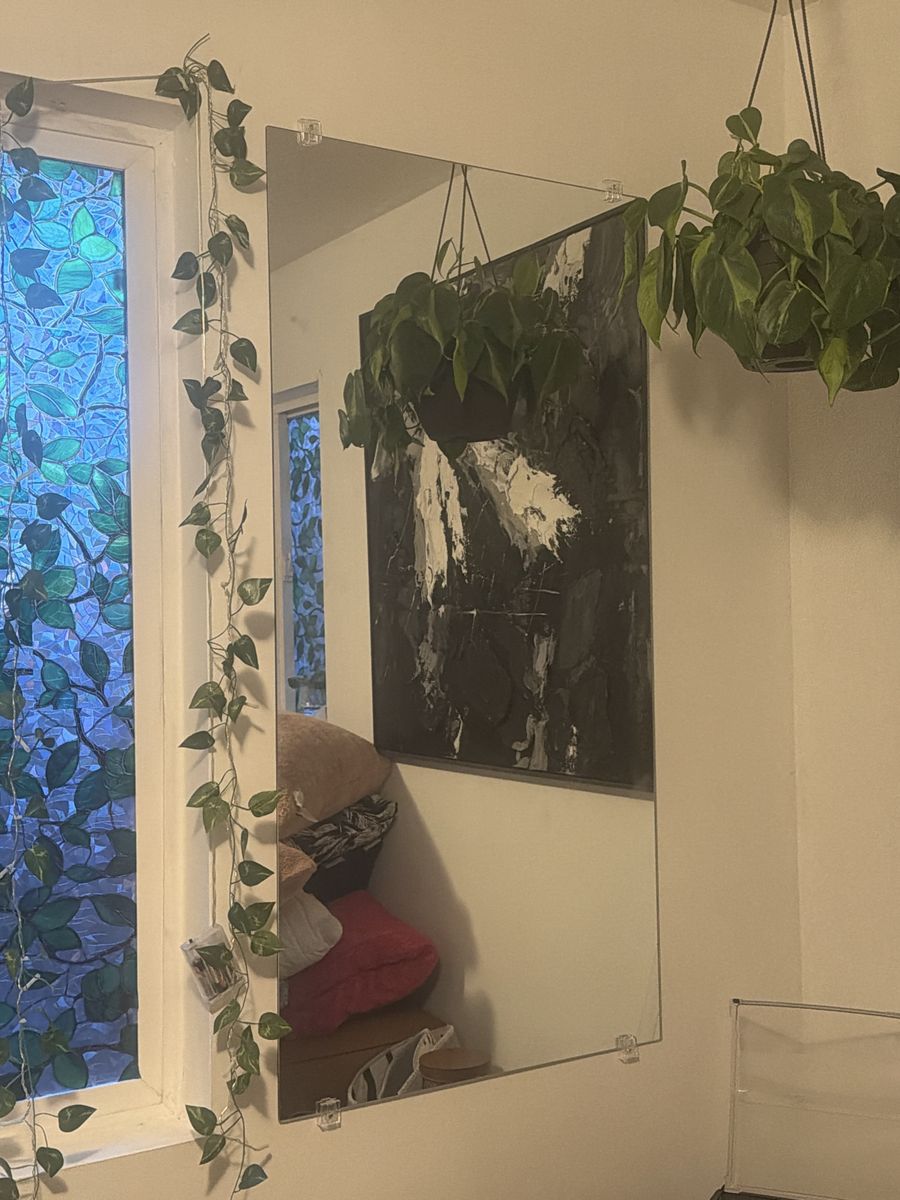 *TWO* Wall Mirror with Hanging Clips