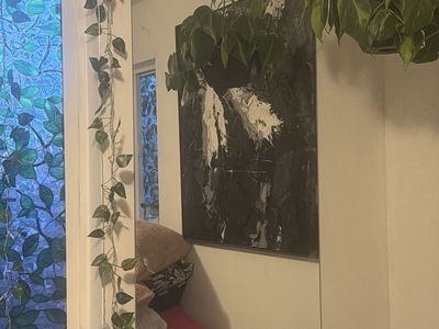 *TWO* Wall Mirror with Hanging Clips