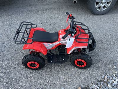 Moto MX 49cc ATV