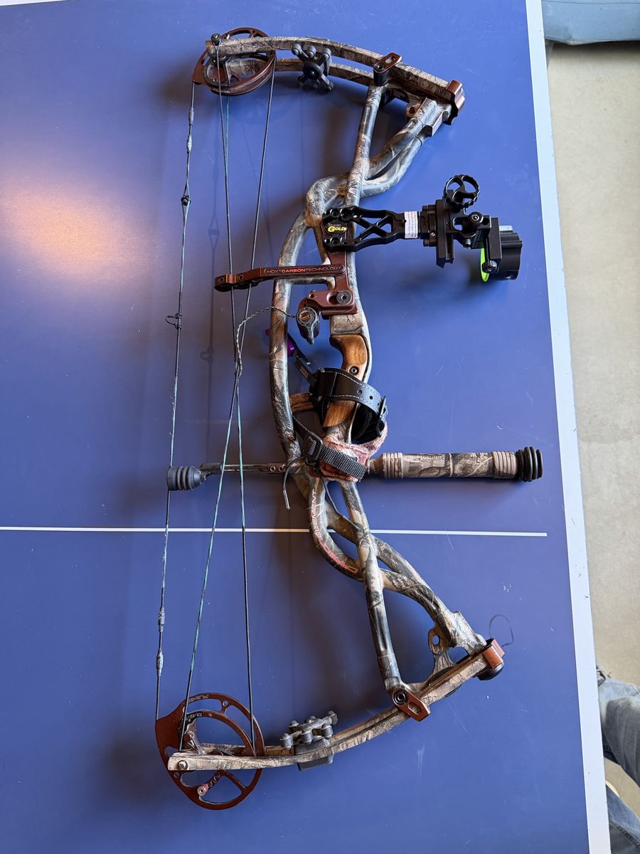 Hoyt Carbon Element