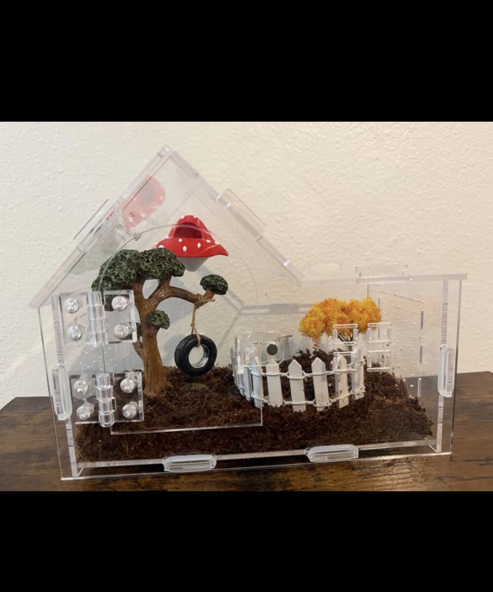 Small spider enclosure