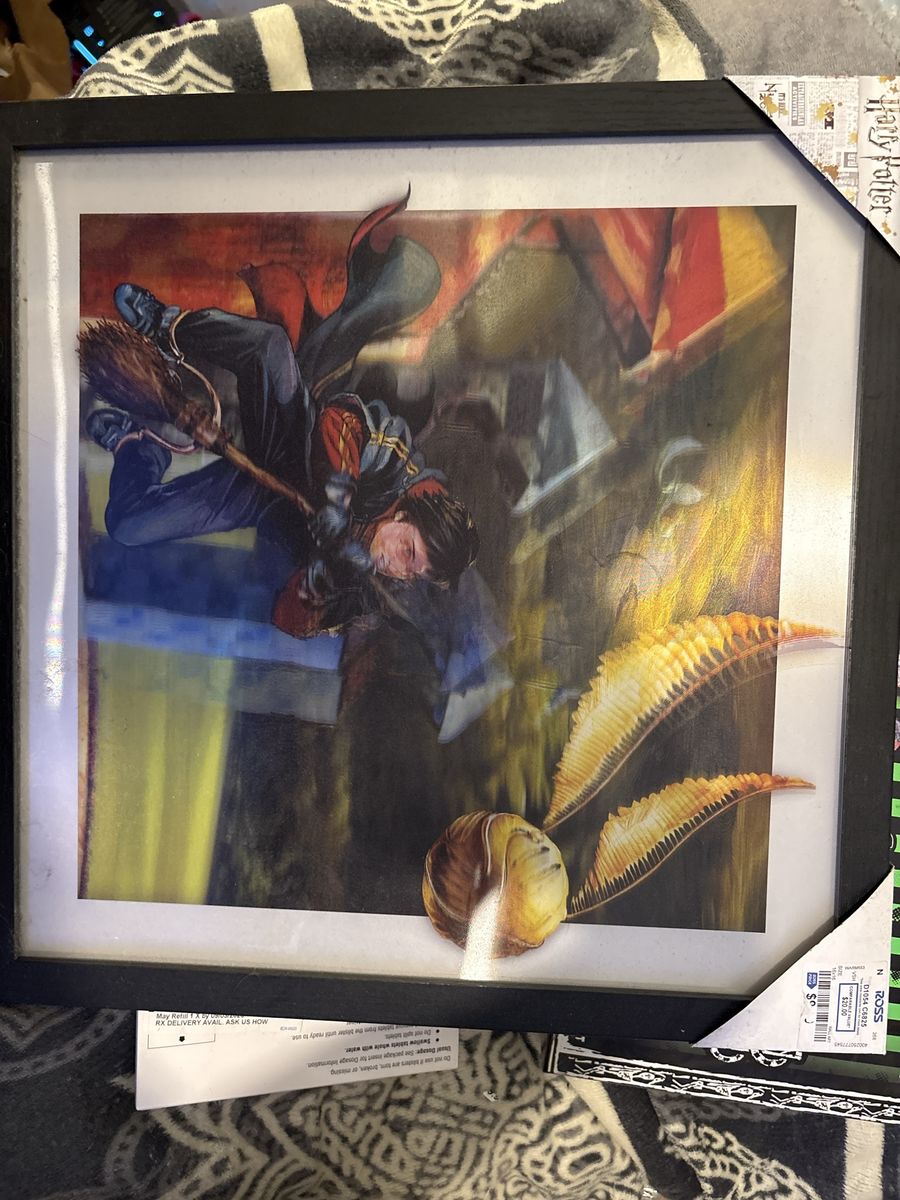 Harry Potter Quidditch Framed Lenticular Art Print Snitch