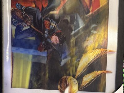 Harry Potter Quidditch Framed Lenticular Art Print Snitch