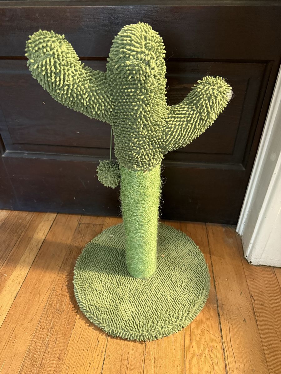 Green Cactus Cat Scratching Post with Dangling Ball Toy