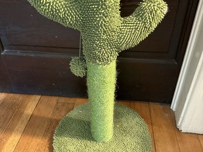 Green Cactus Cat Scratching Post with Dangling Ball Toy