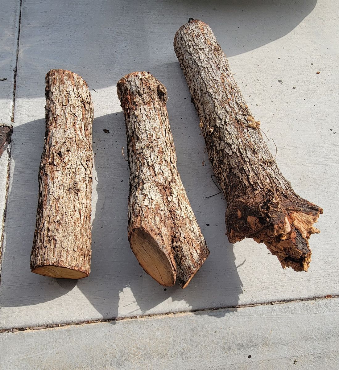 Free peach logs