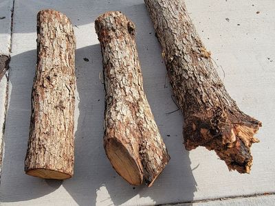 Free peach logs