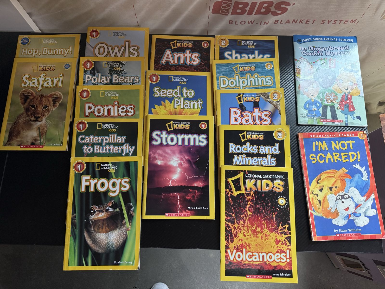 National Geographic Kids & Disney Children's Book Lot - Early Readers & Picture Books