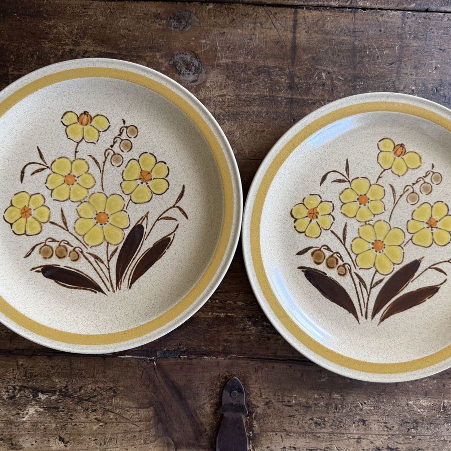 International China Co Cupboard Craft Lemoncream Stoneware Dinner Plates Set of 2