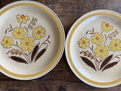 International China Co Cupboard Craft Lemoncream Stoneware Dinner Plates Set of 2