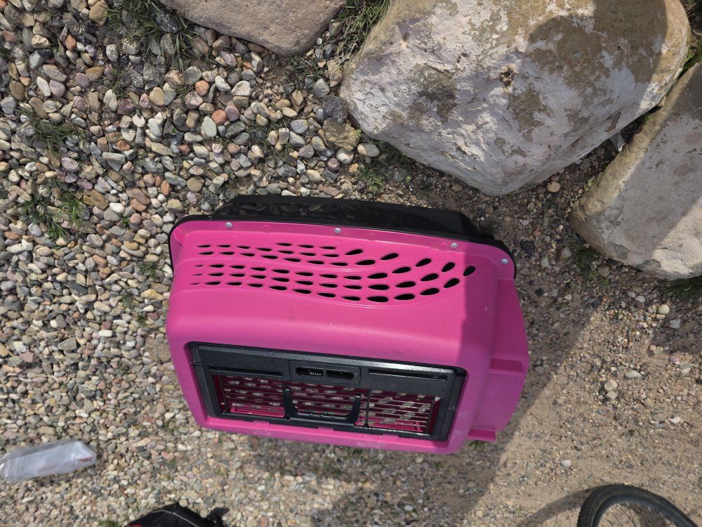 pink and black cat carrier