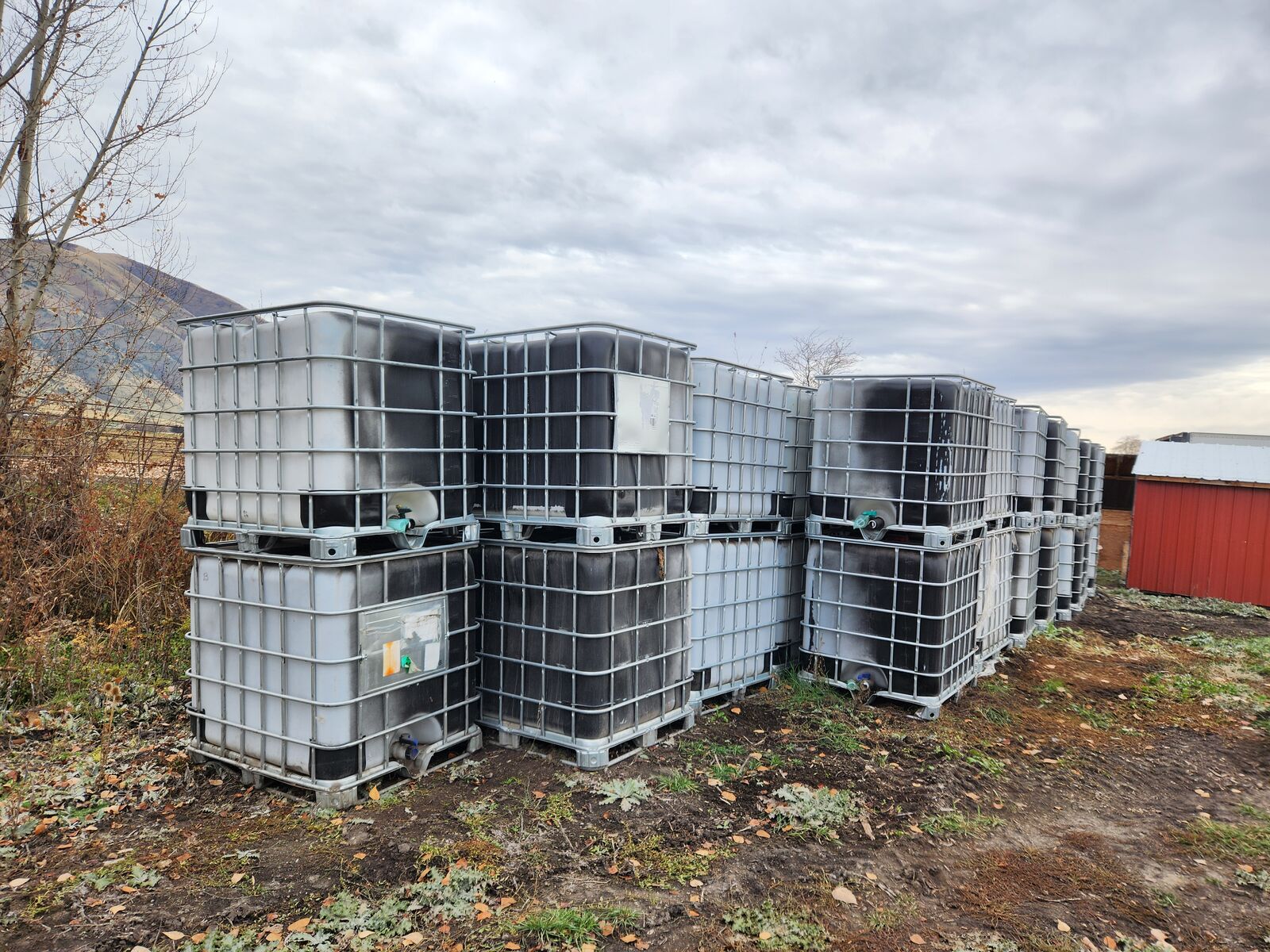 275-gallon IBC Totes