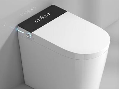New Smart Toilet Bidet Automatic