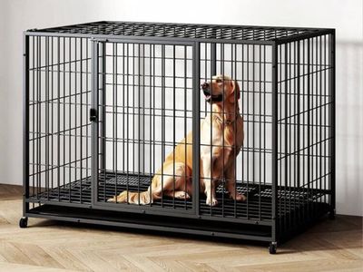Heavy Duty 48-inch Dog Crate Kennel with Double Doors & Wheels - Black Metal Pet Cage