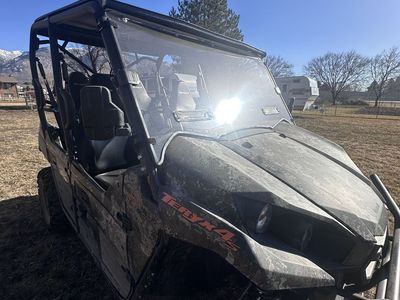 2025 Kawasaki Teryx 4 800