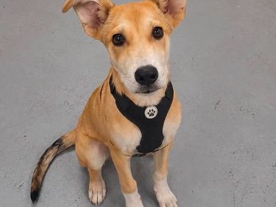 Hello my name is Chance