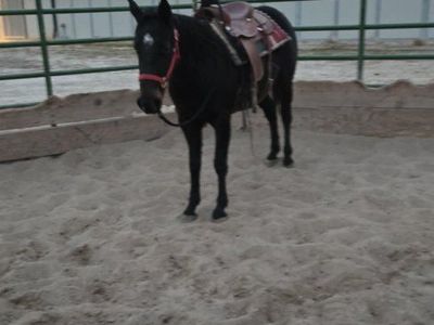 2021 grade mare