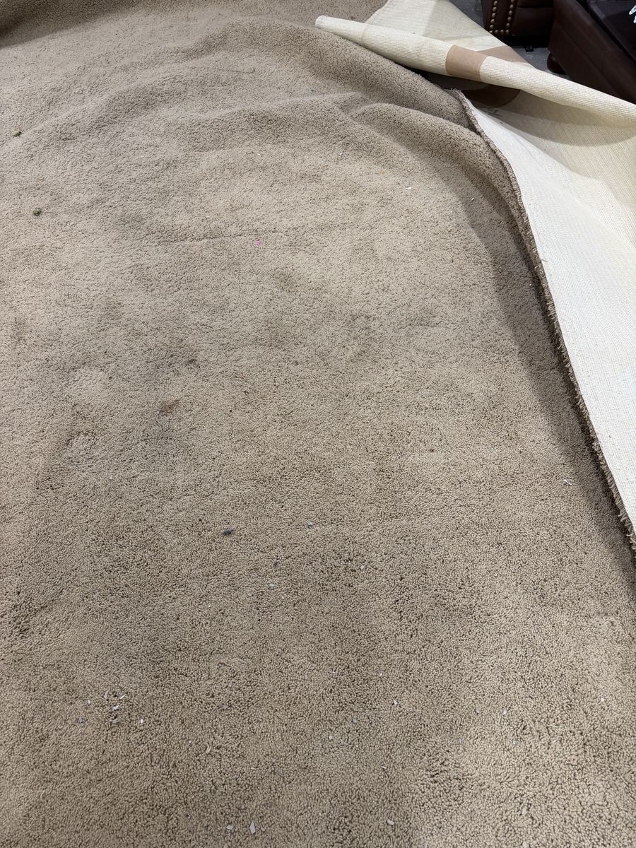 Tan Carpet 14’ x 15’