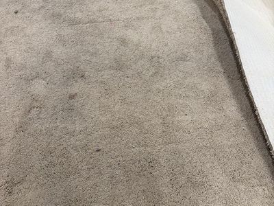 Tan Carpet 14’ x 15’