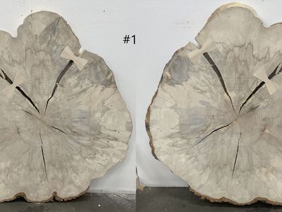 Live edge slabs and cookies for sale