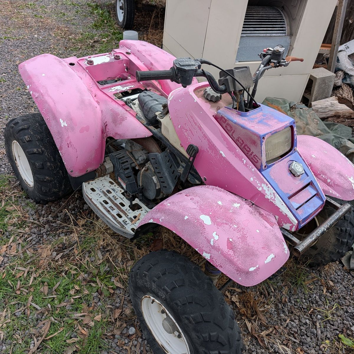 1994 Polaris Trailblazer 250