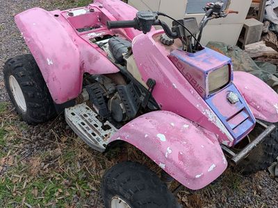 1994 Polaris Trailblazer 250